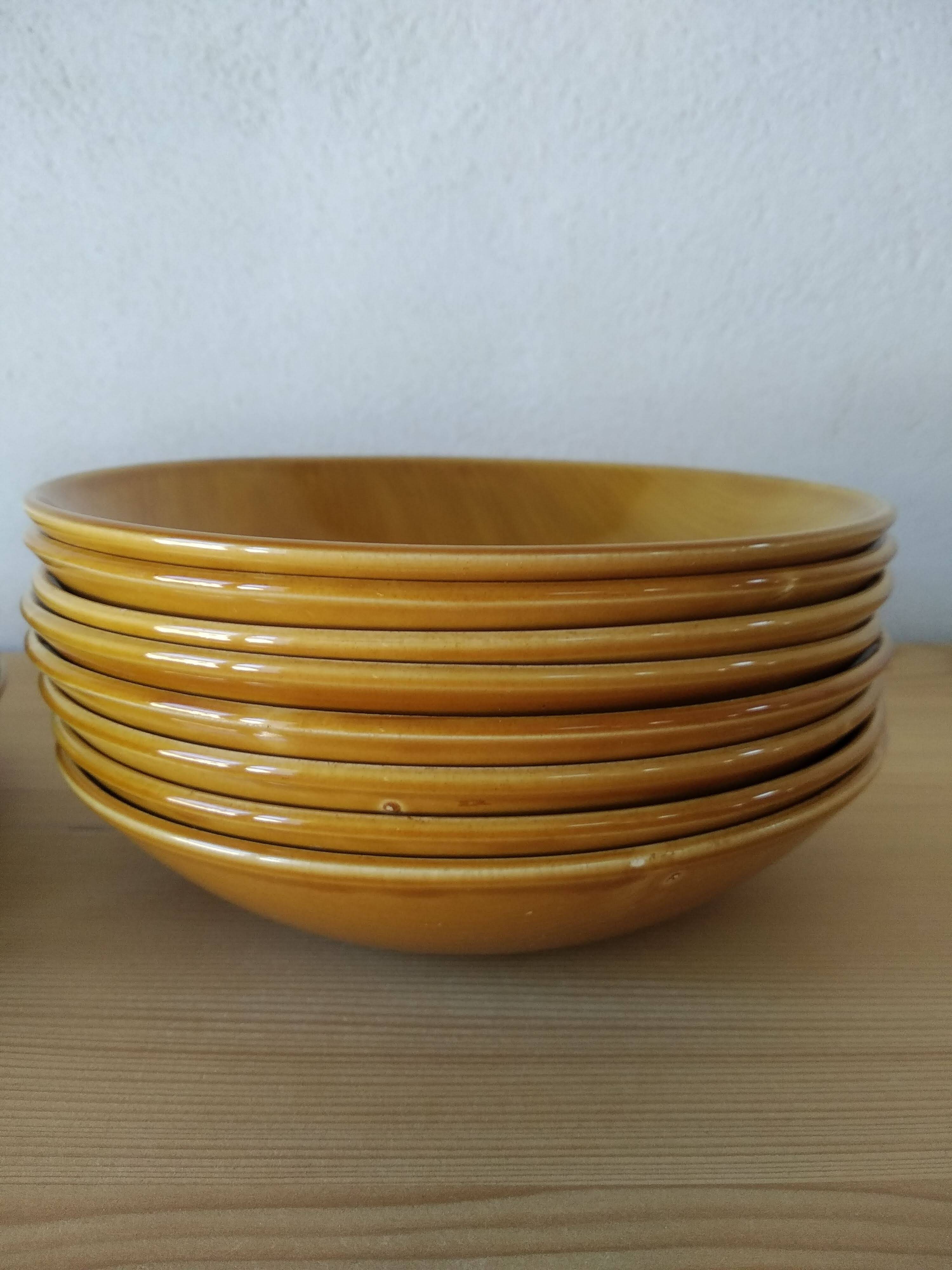 Salins Earthenware Dinner Service, Provence Model, 70'