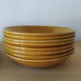 Salins Earthenware Dinner Service, Provence Model, 70'