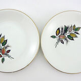 6 flat porcelain plates - foliage decoration Sous-Bois - Digoin & Sarreguemines France