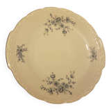 Dish