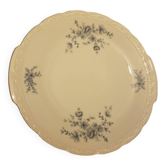 Dish