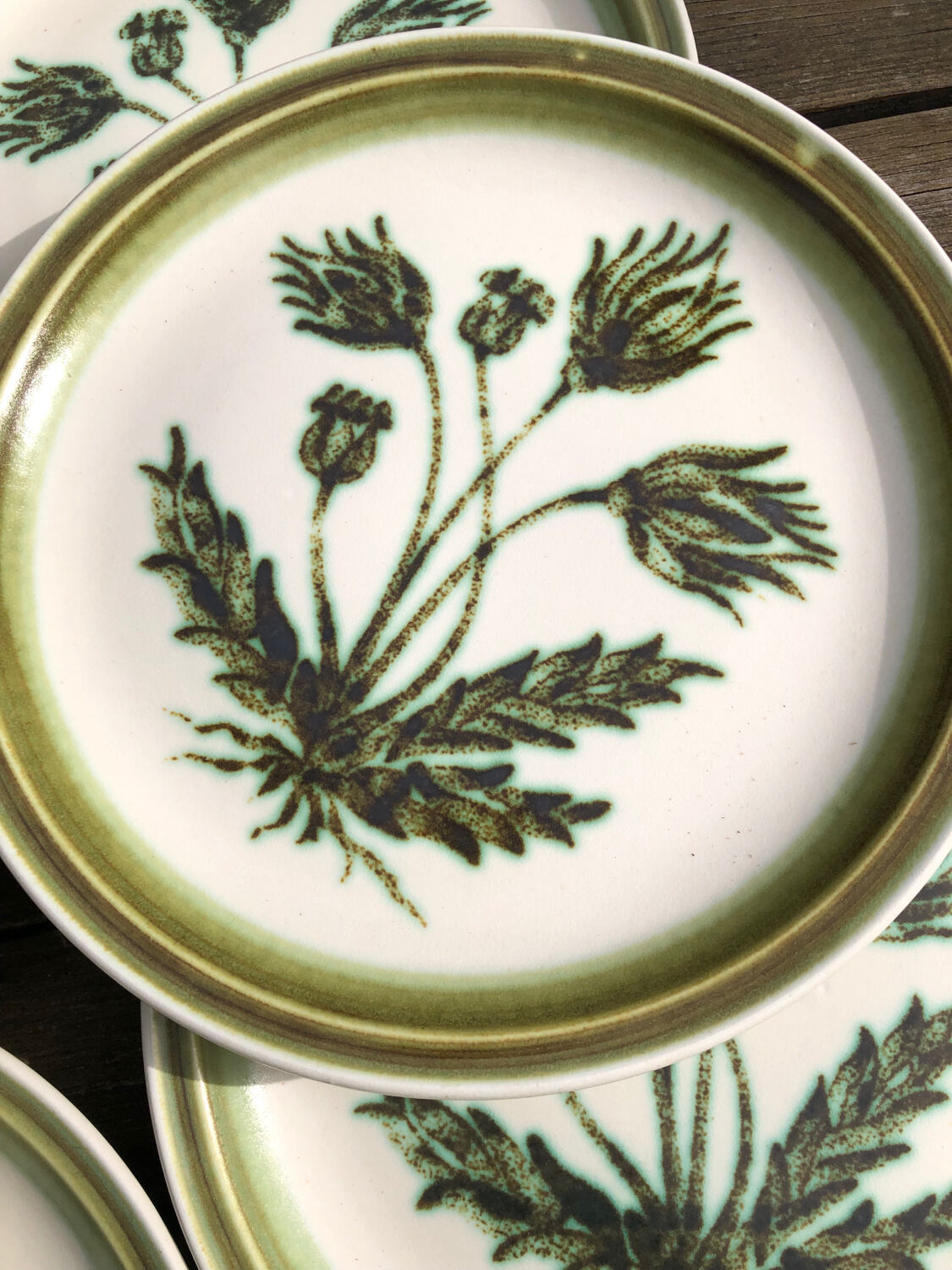 Gien enameled stoneware dinner plates “Herbariums”