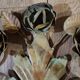Pair of old Florentine wrought iron wall lights bellina illumina