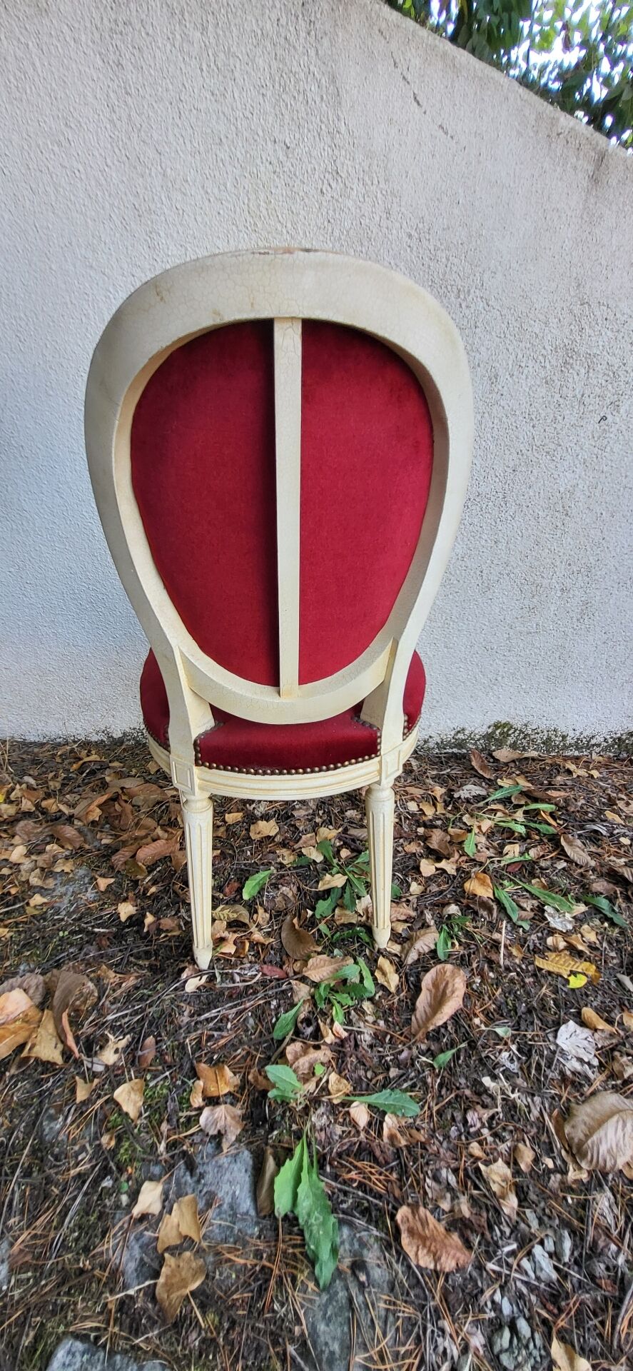 Velvet medallion chairs
