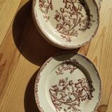 Datura plates iron earth