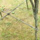Antique wrought iron garden chairs, set of 2