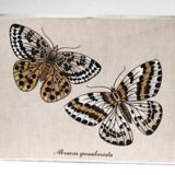 90s fabric butterfly suspension