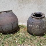 Real Charente ponnes from the end of the 19th century
