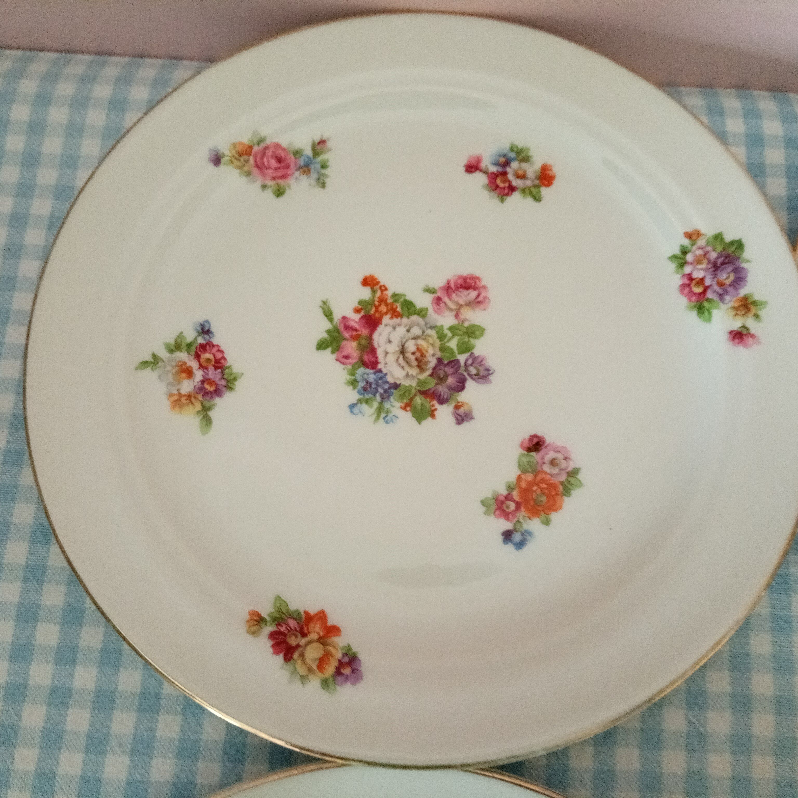 6 porcelain plates