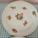 6 porcelain plates