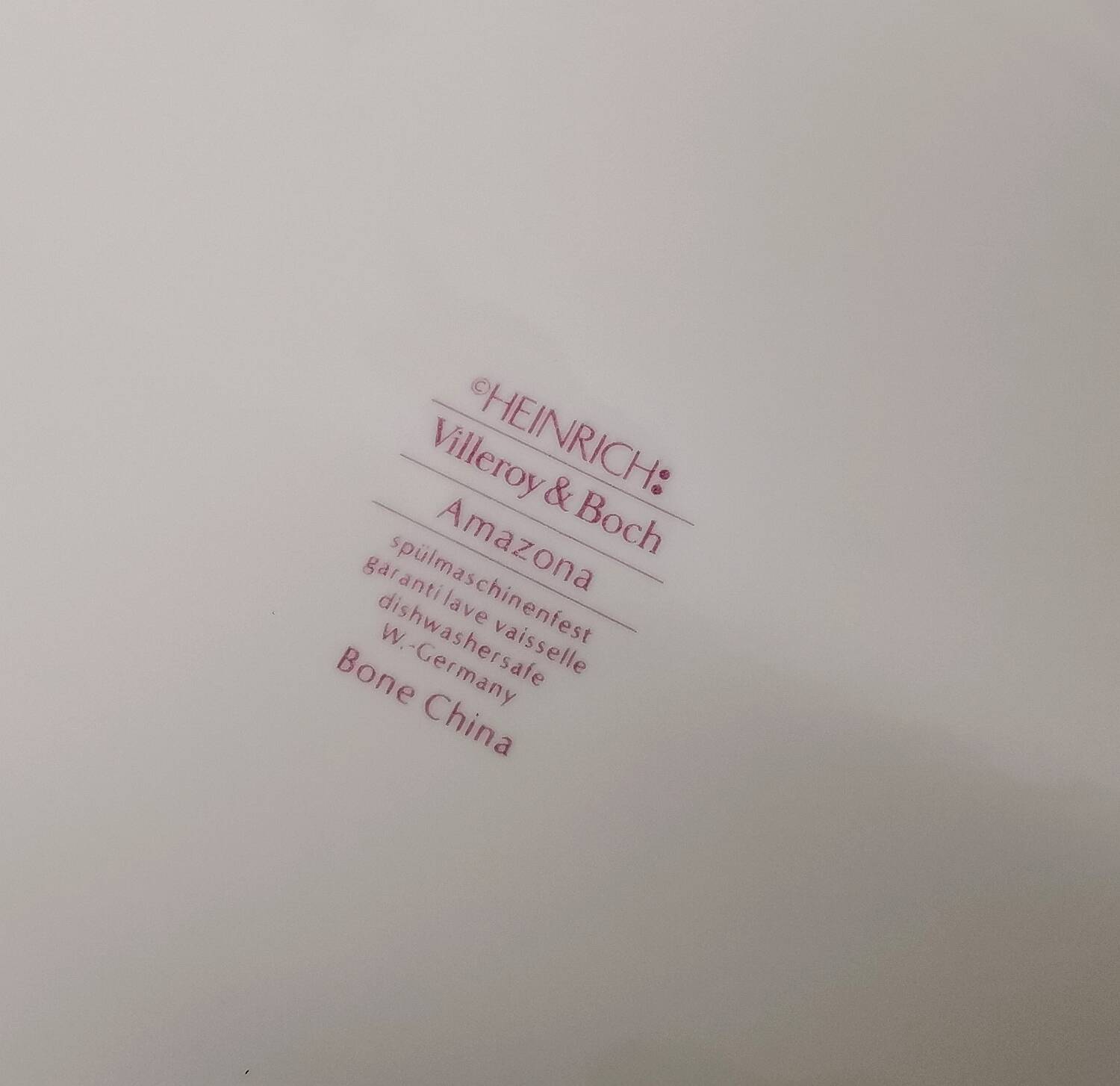 Villeroy & Boch dinner plates