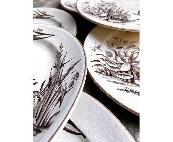 Set of 6 Tunstall iron clay dinner plates Amazon model circa 1880 | Selency