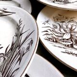 Set of 6 Tunstall flat plates in English Ironstone Amazon pattern circa 1880