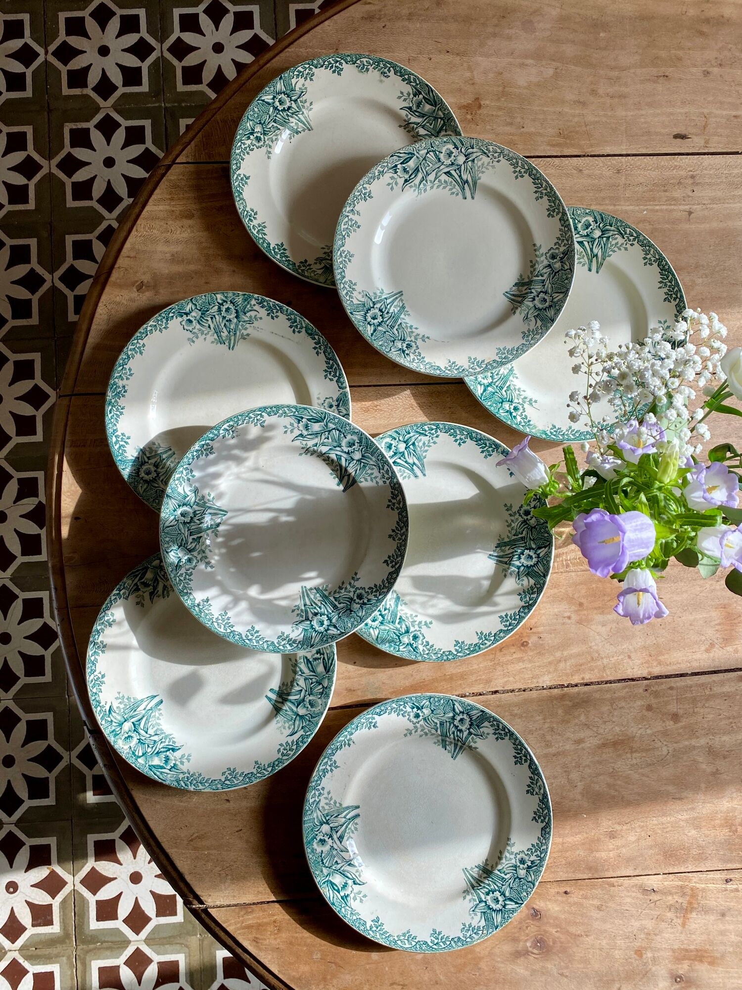 Set of 8 vintage flat plates in iron earth, model Narcisses de Saint Amand (LOT1)