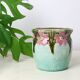 Mini slip planter