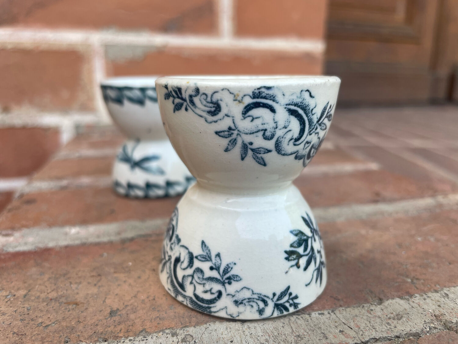 Cockroaches diabolo Terre de Fer