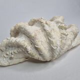 Ancient holy shell, 30 cm
