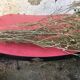 50s red-red formica Roc chair