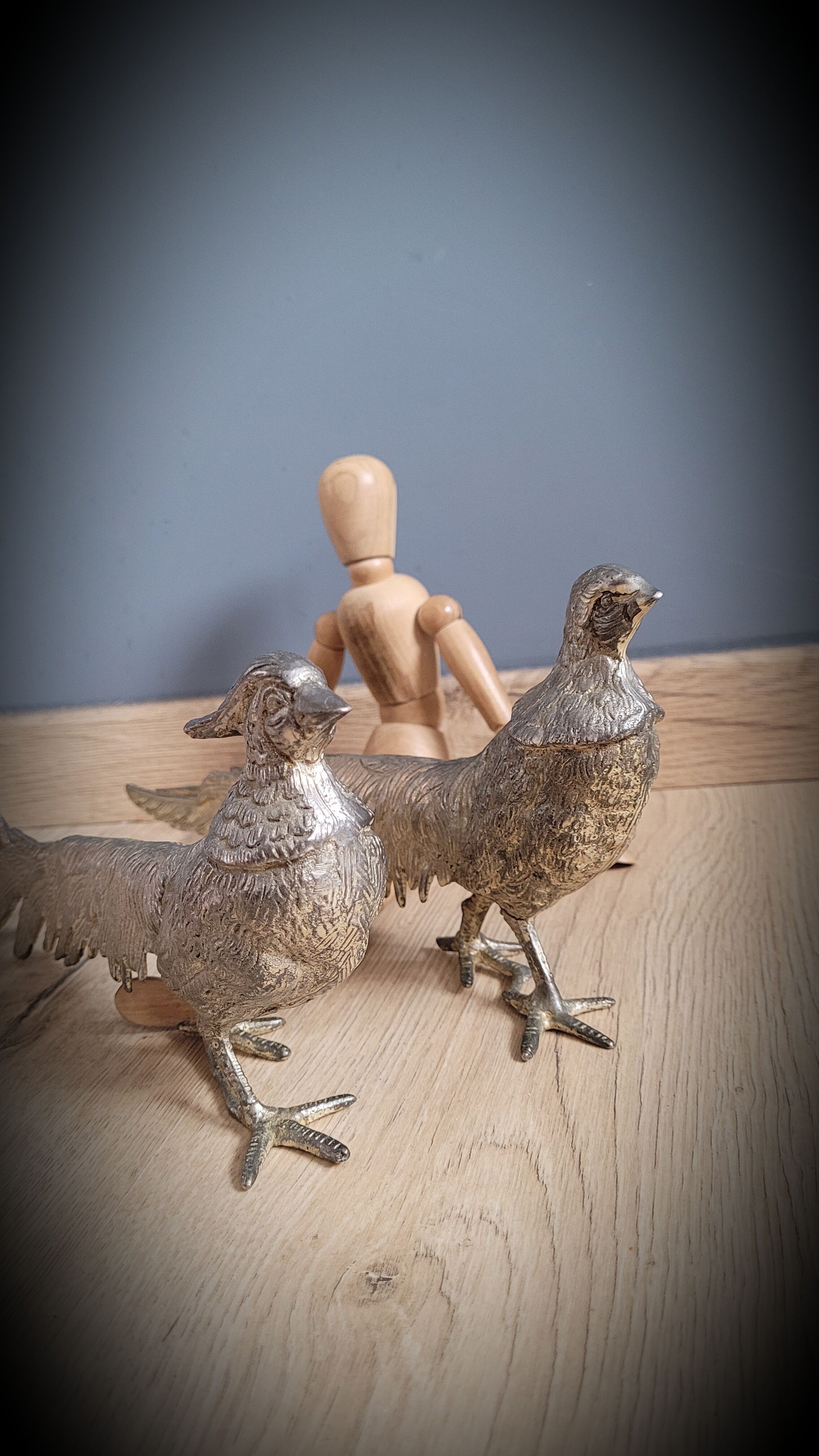 DuO of peacocks