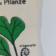 Vintage educational wall hanging roll chart biology