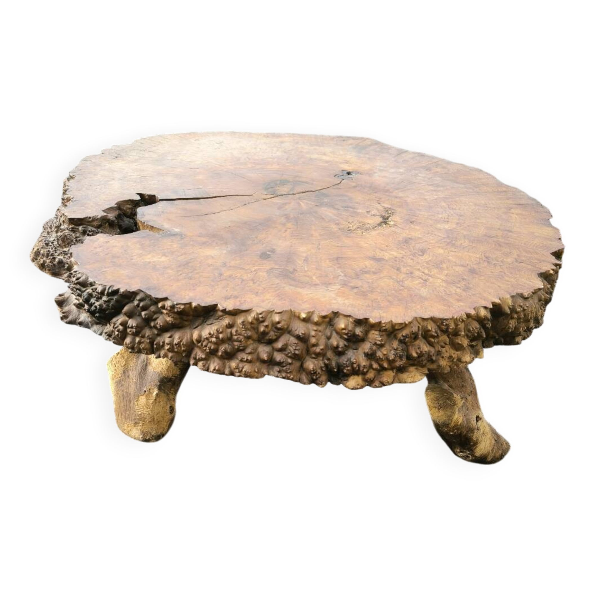 Brutalist coffee table in solid elm burl 108 cm diameter