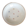 Flat hollow porcelain vintage antique iron earth