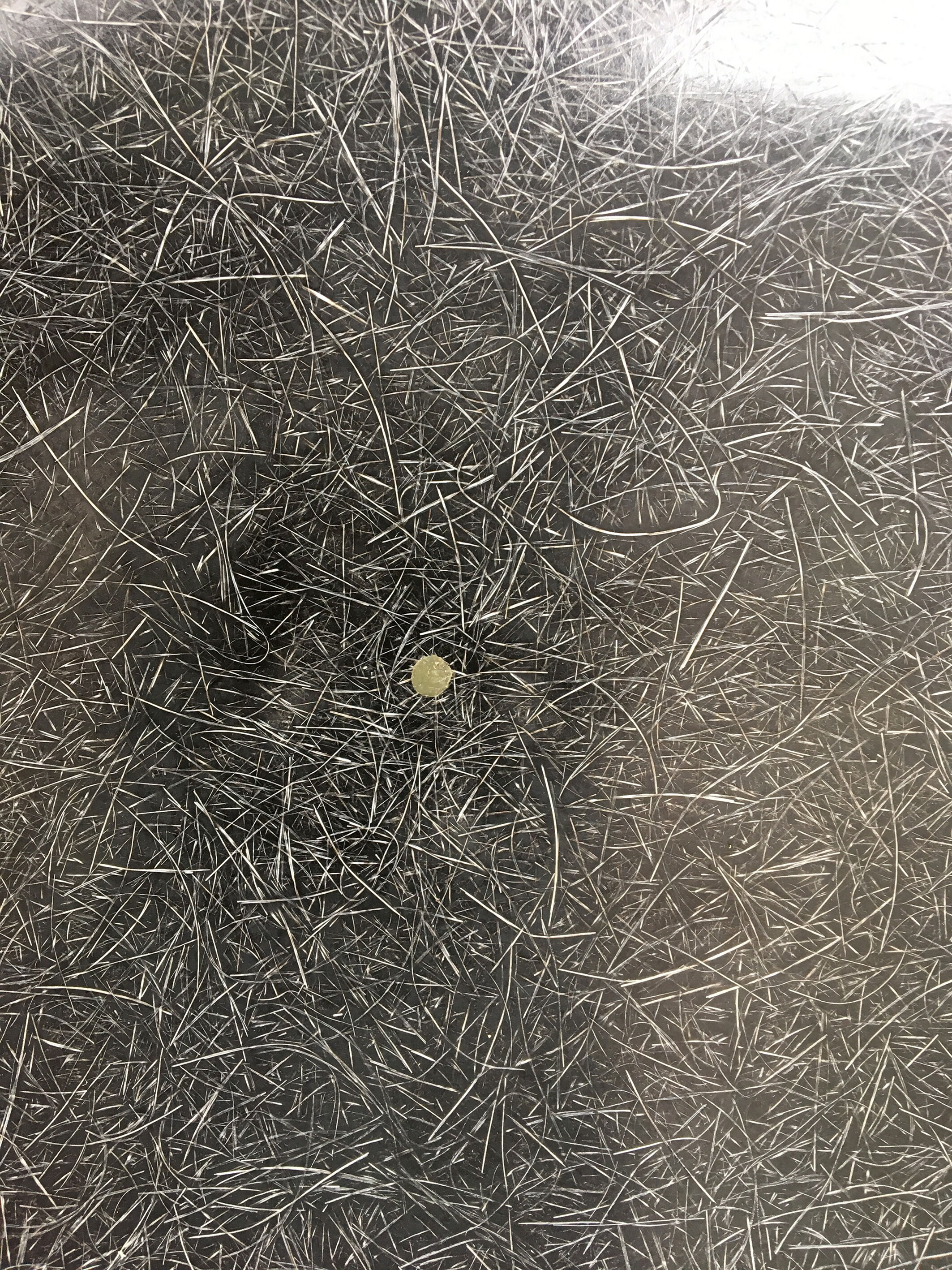 Fauteuil DAW chair par Charles & Ray Eames pour Herman Miller 1960