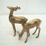 Duo doe and brass deer