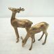 Duo biche et cerf en laiton