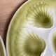 Set of 6 oyster plates in Earthenware Mill of Wolves