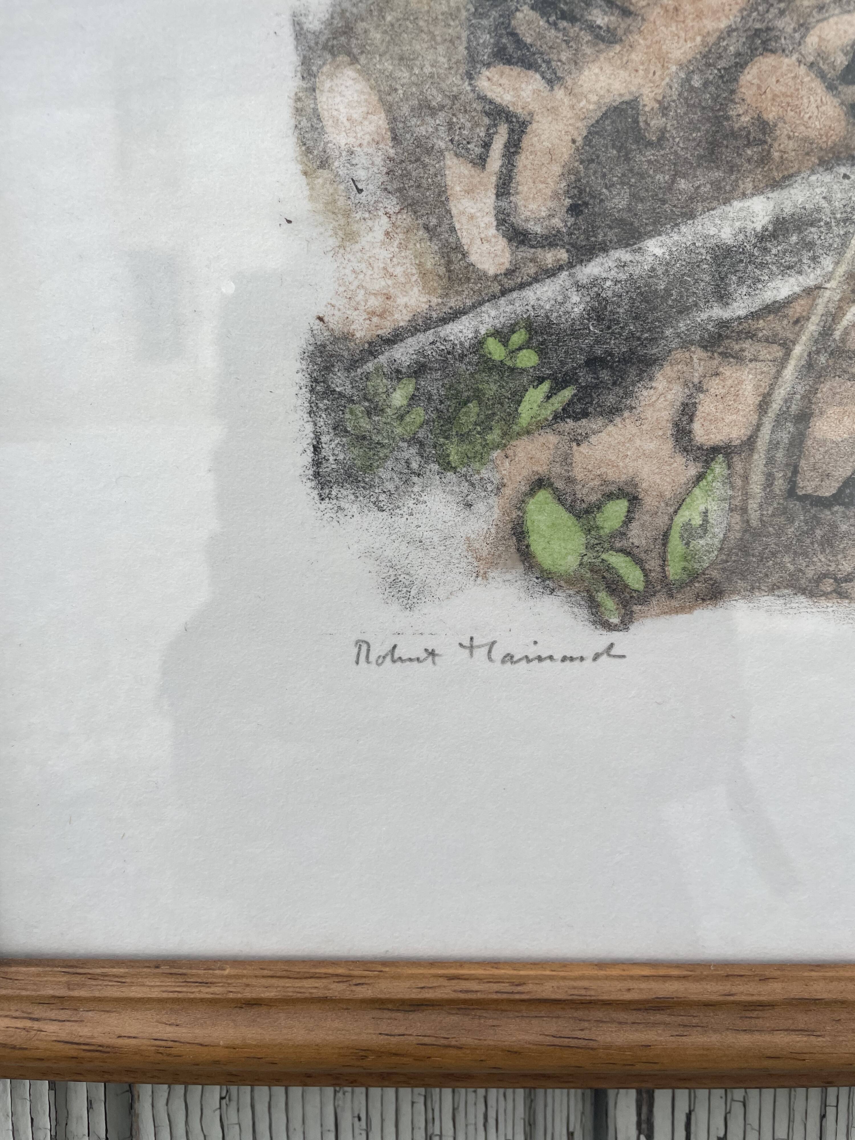 Gravure originale de Robert Hainard
