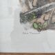 Gravure originale de Robert Hainard