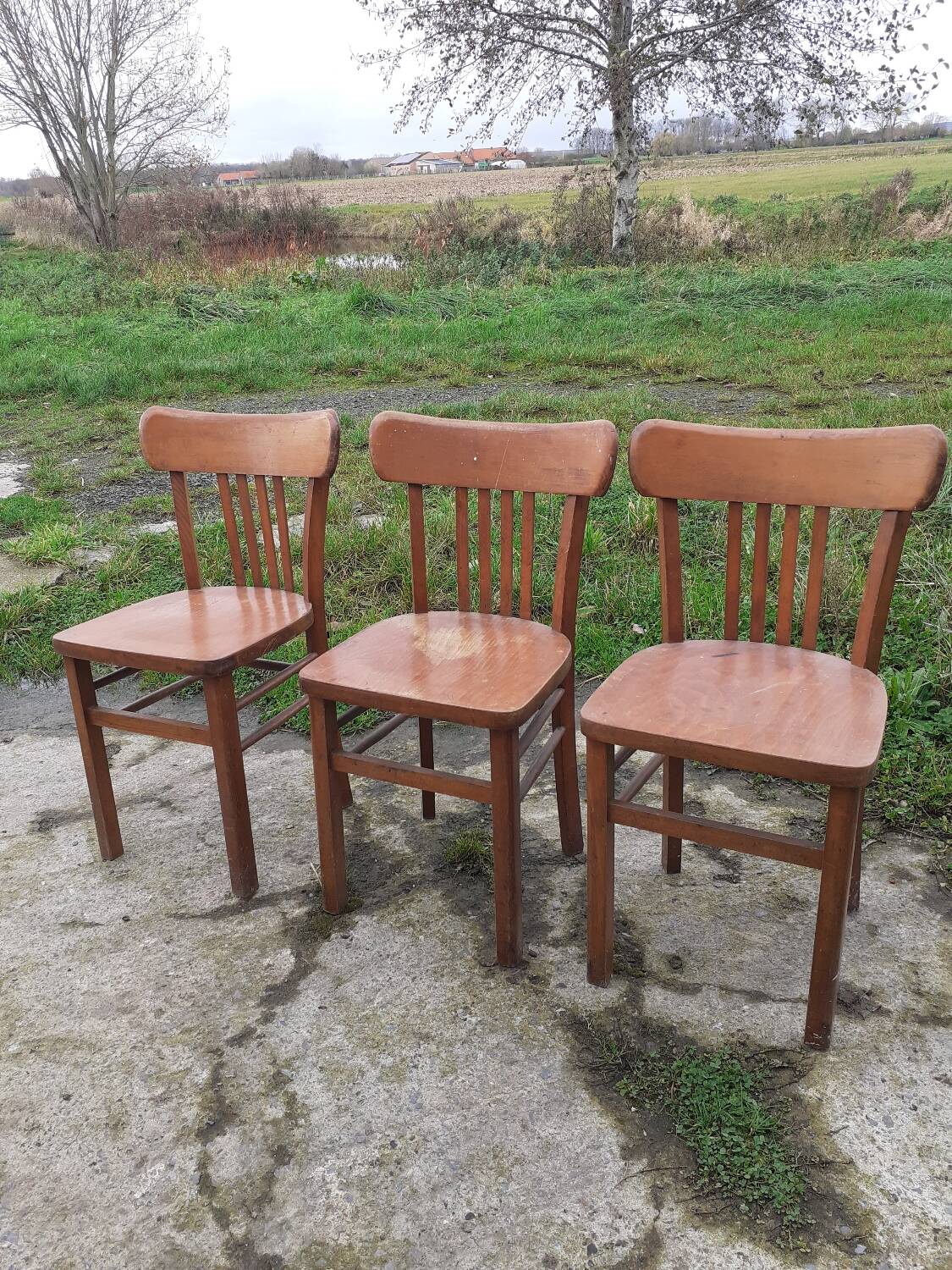 Bistro chairs