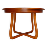 Scandinavian vintage extendable round table