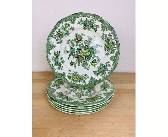 6 flat plates wedgwood oriental pheasants green