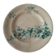 Old plate