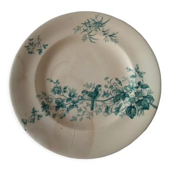 Old plate