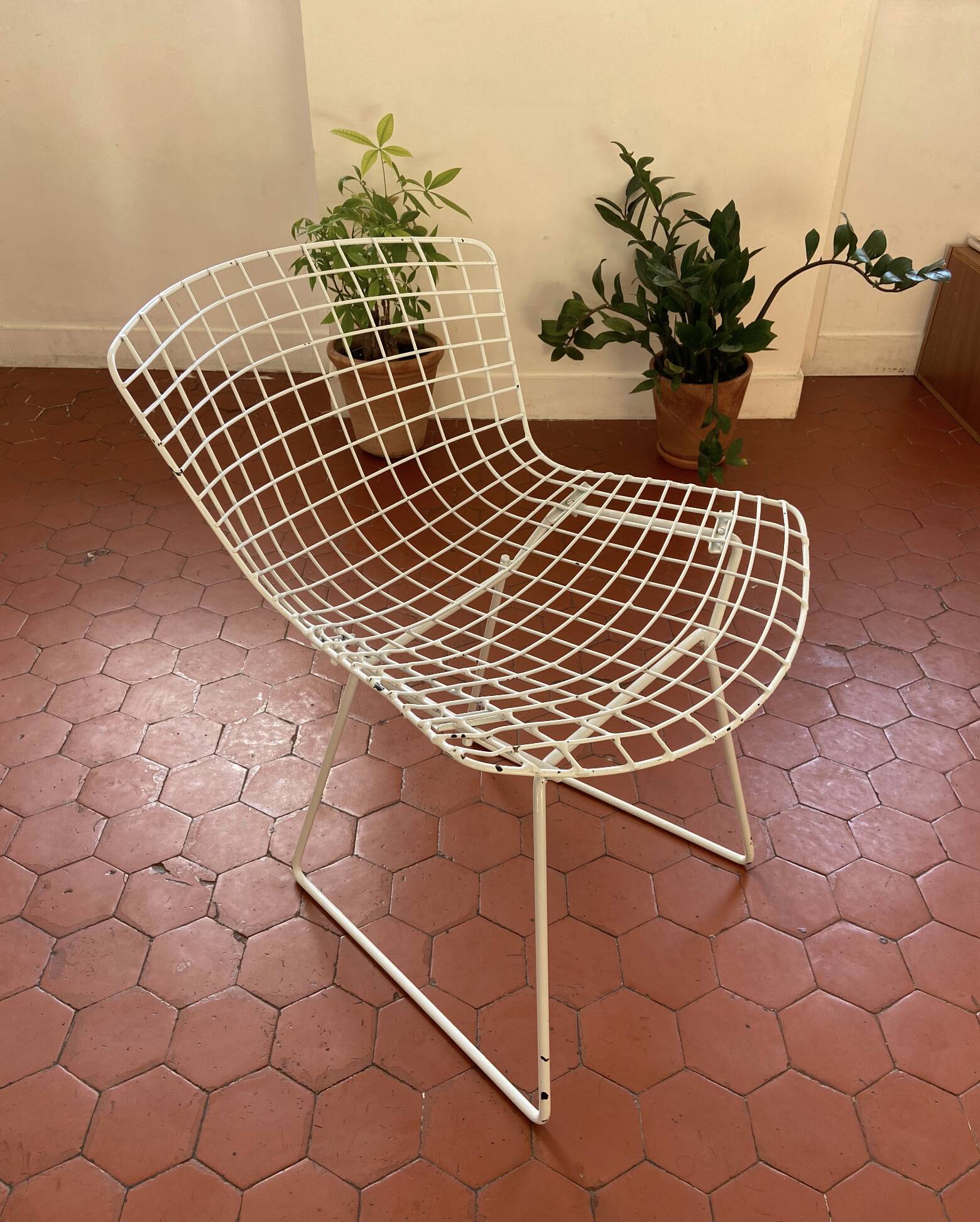 Harry Bertoia chairs