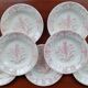 Service of 7 plates in iron earth
