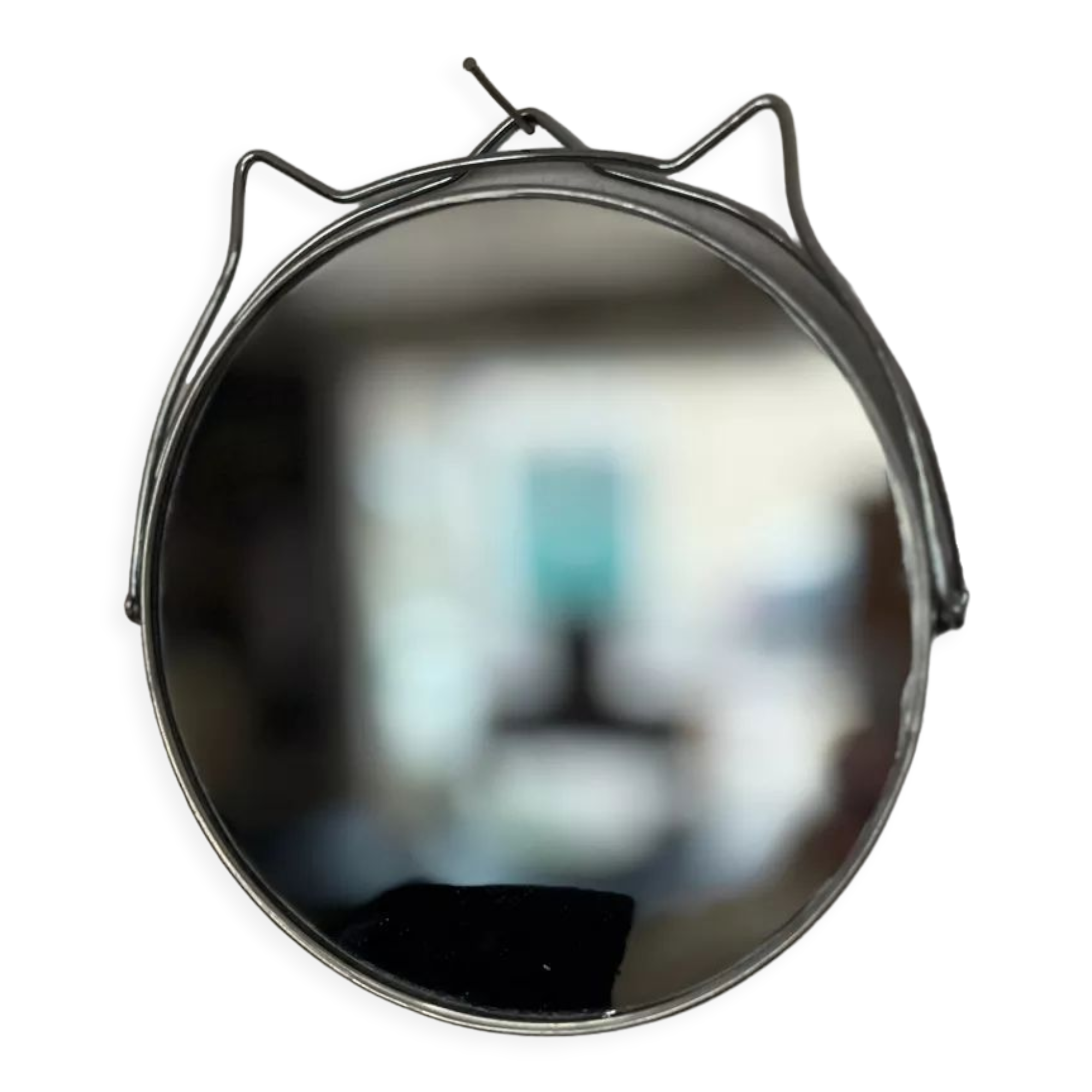 Mirror barber cat