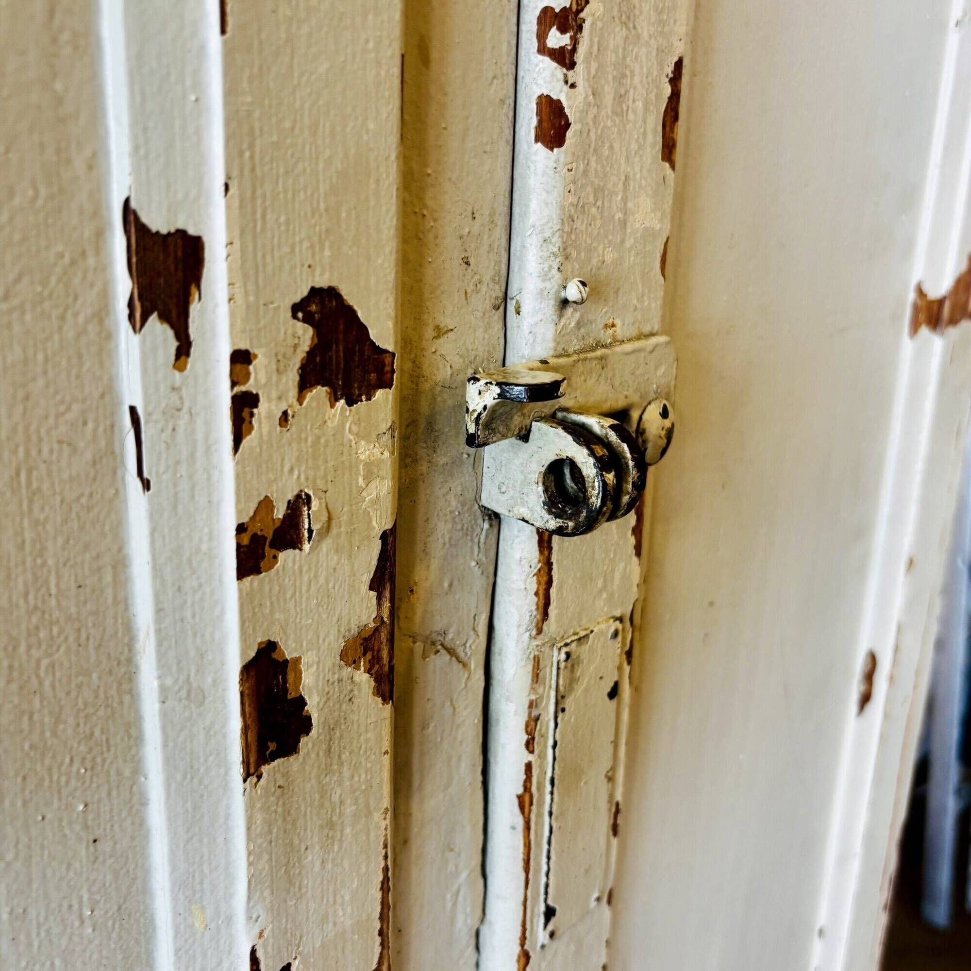 Old factory lacquered pine locker from early 20th century France.