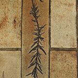 Coffee table signed R. Capron, Les Herbiers Collection, Vallauris – 1960