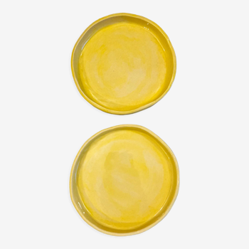 Duo of yellow plates