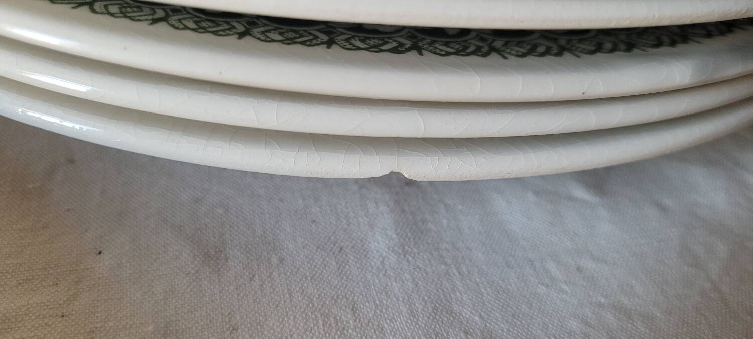 Pastoral decor earthenware dinner plates