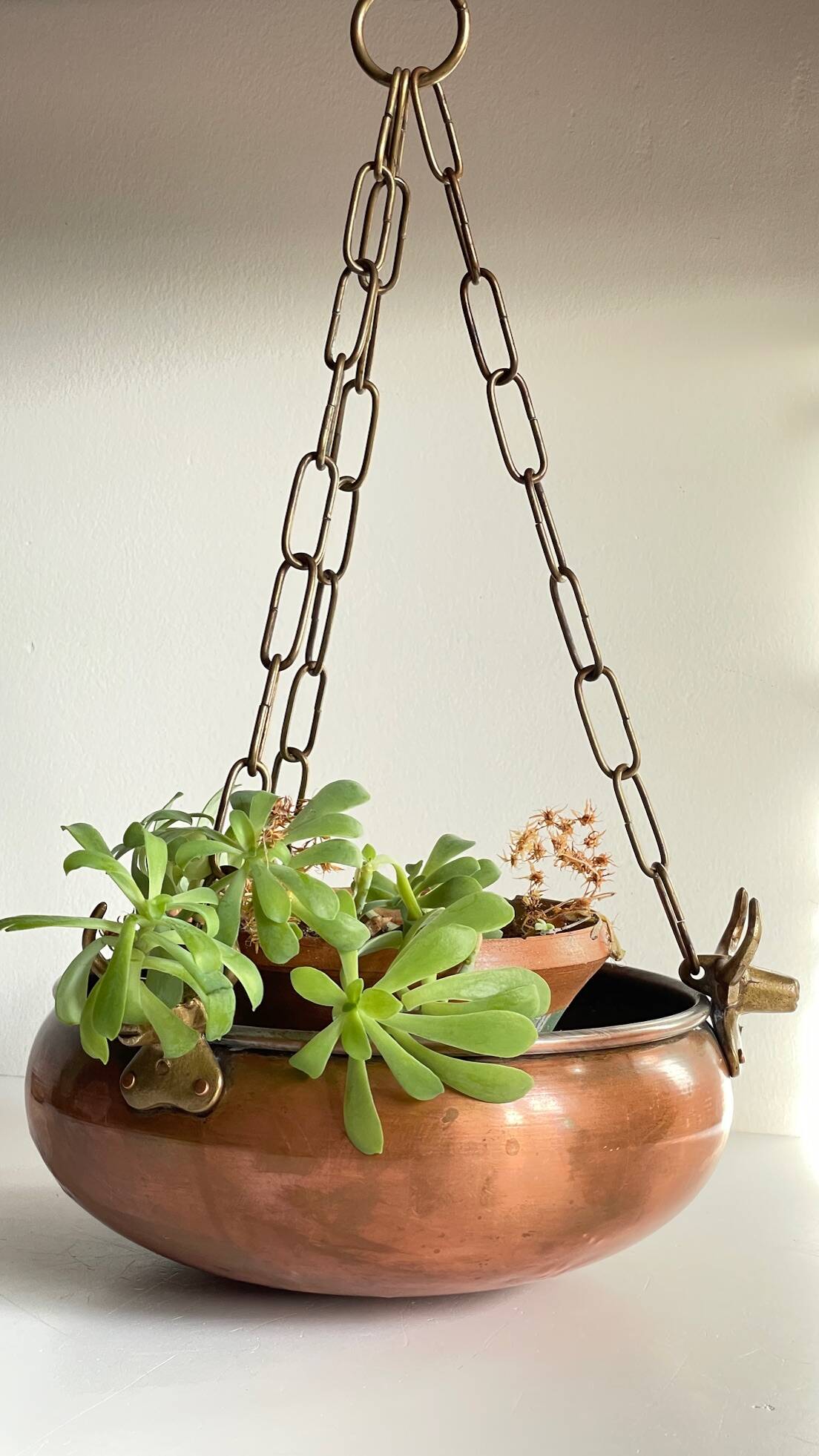 Cache-pot suspendu aux 3 buffles vintage