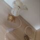 Murano flower bedside lamp