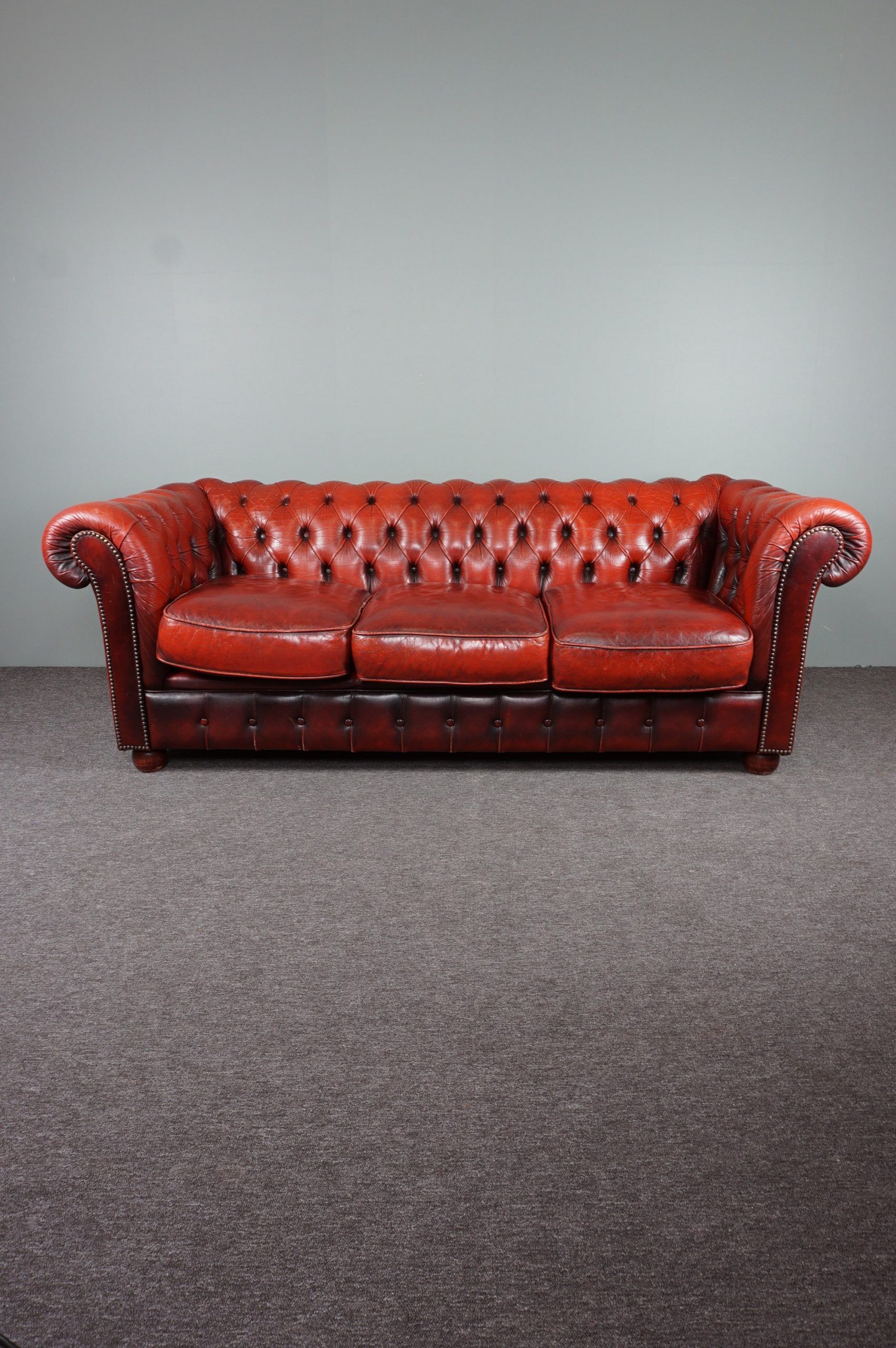 Chesterfield sofa 3 places in cowhide leather