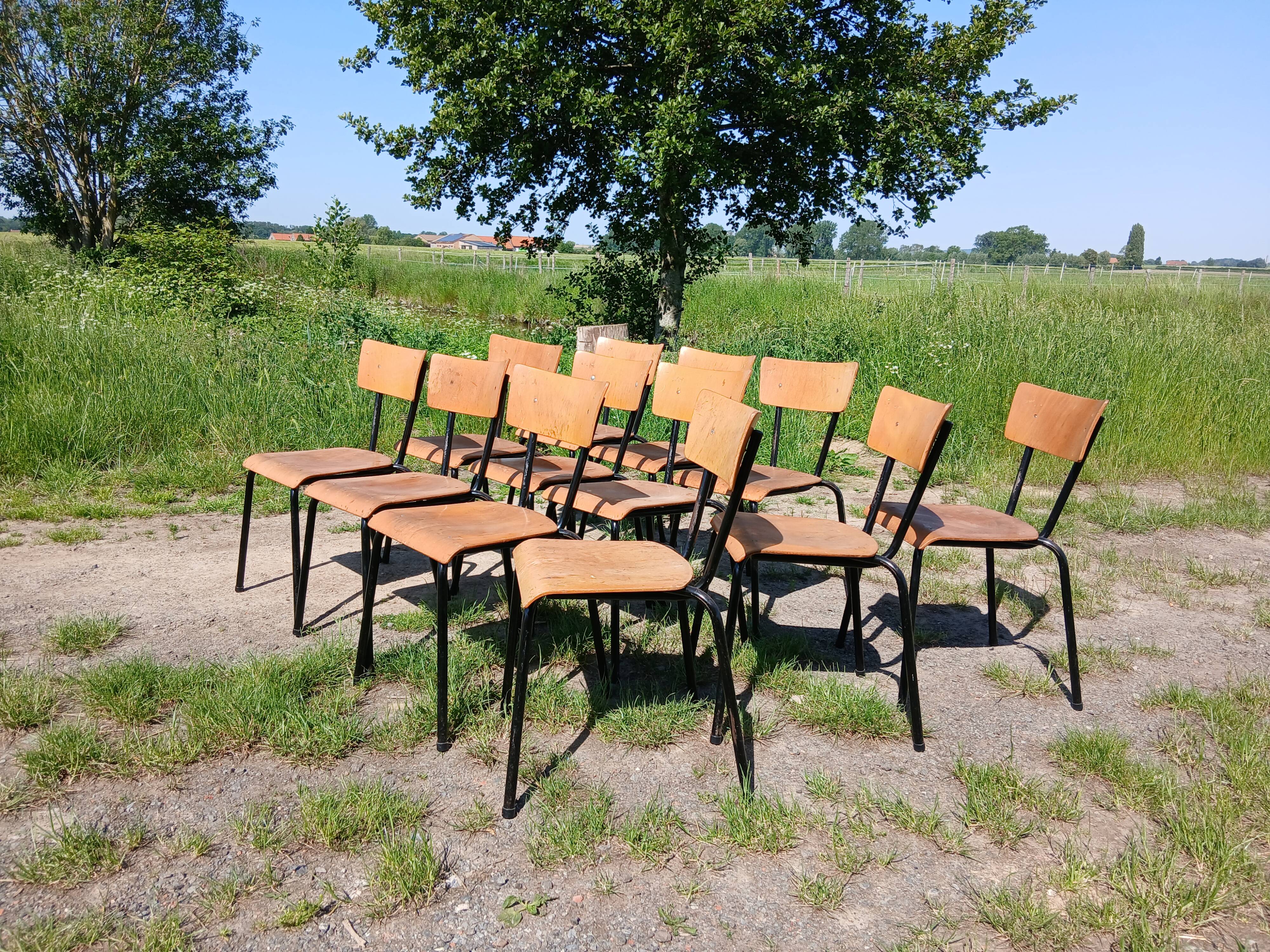 Chaises d'écoliers