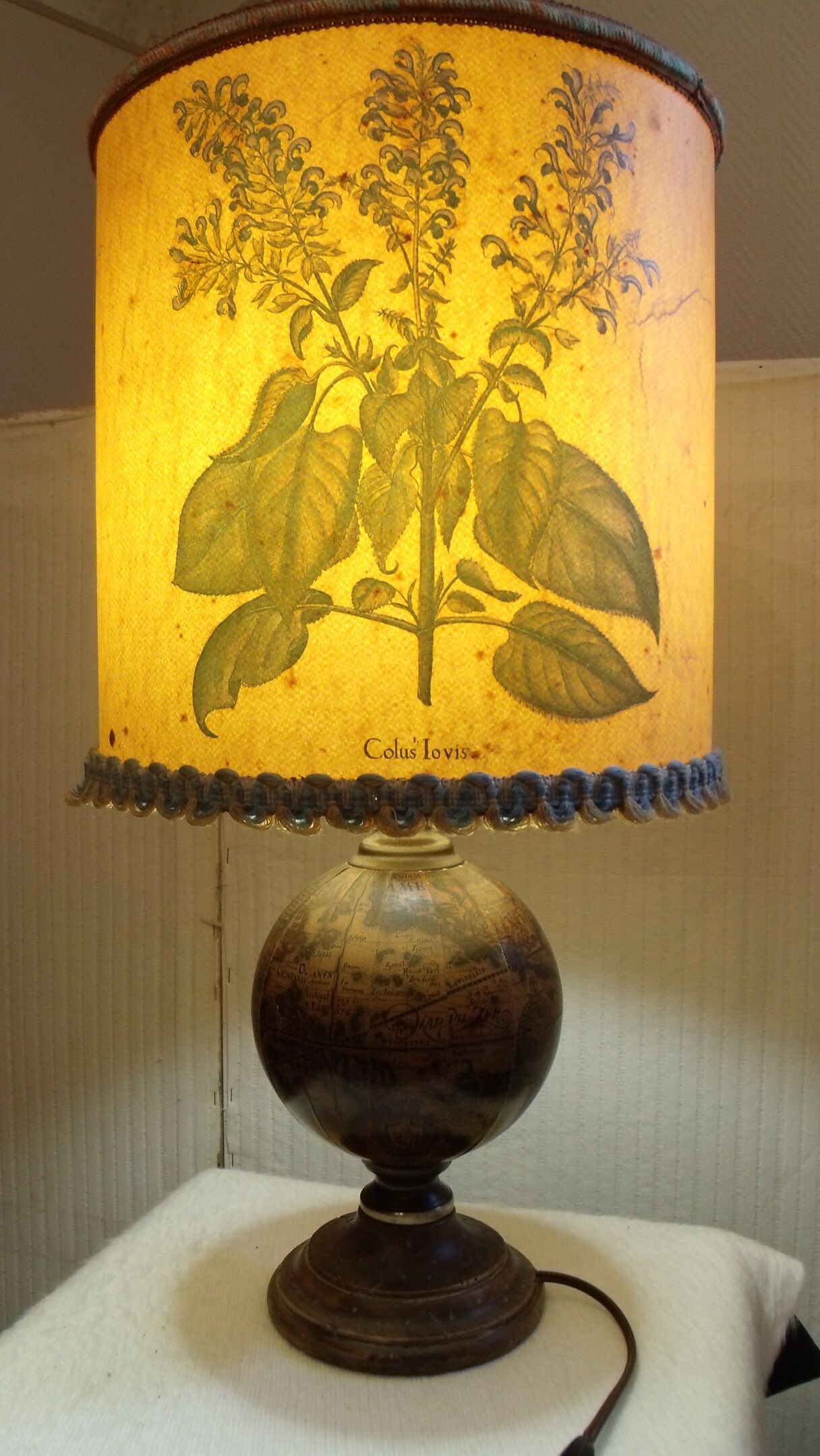 Globe desk lamp downbeating herbarium day