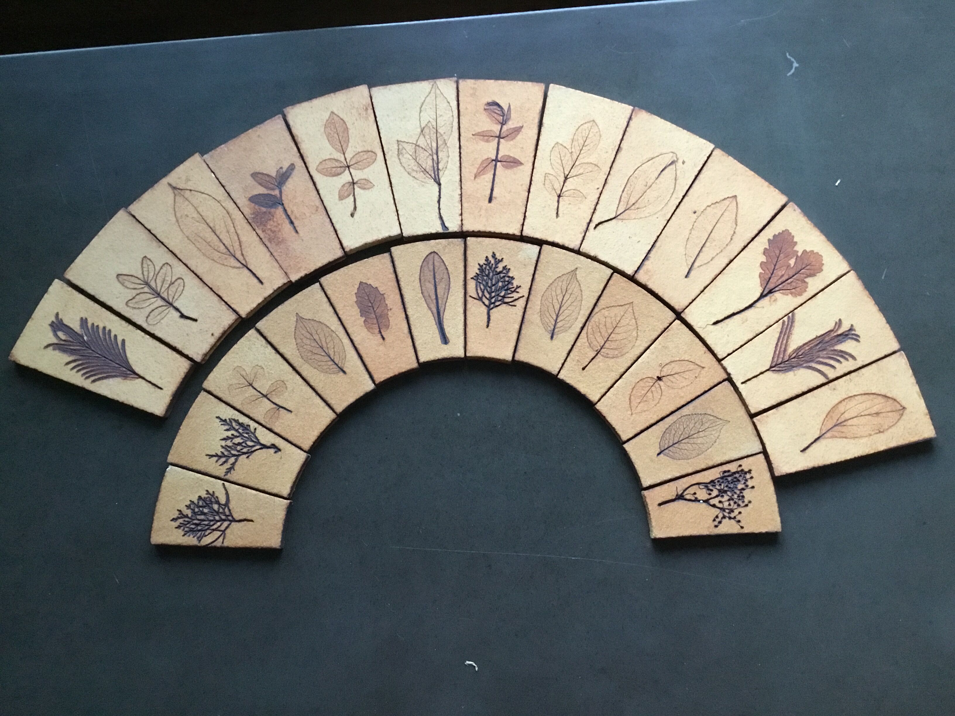 Carreaux herbier Roger Capron
